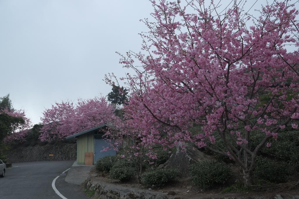 Siangting B&B Fenchihu Exterior foto